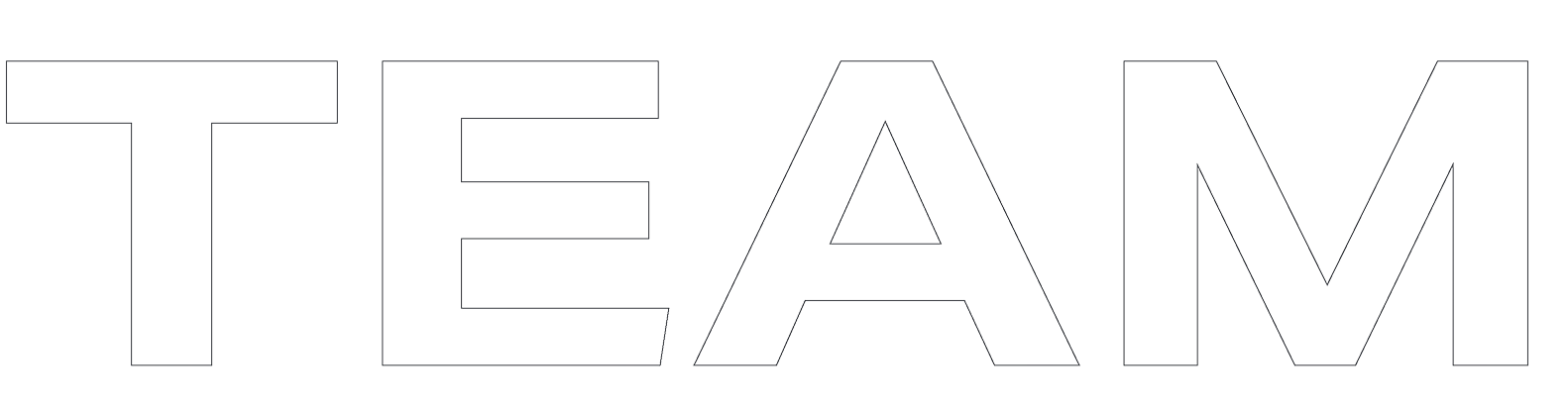 TEAM Background Text